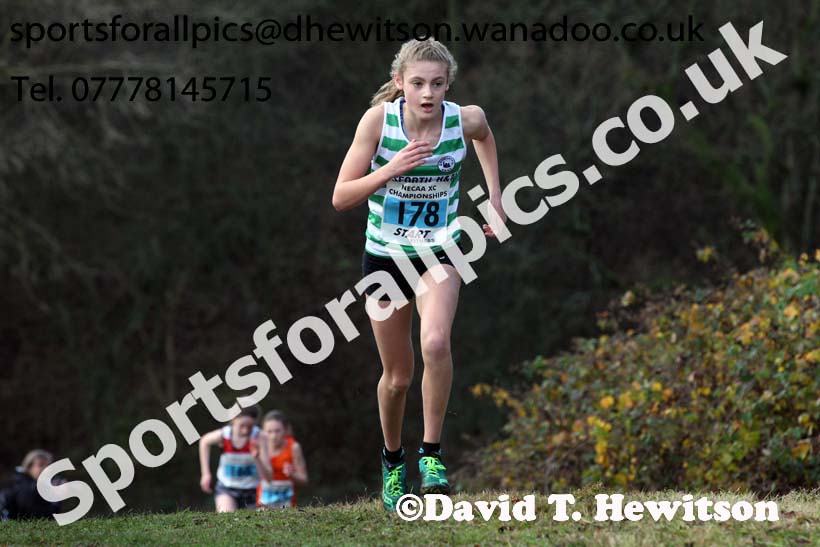 Girls under-13s North Eastern Cross Country, Aykley Heads, Durham. Photo: David T. Hewitson/Sports for All Pics
